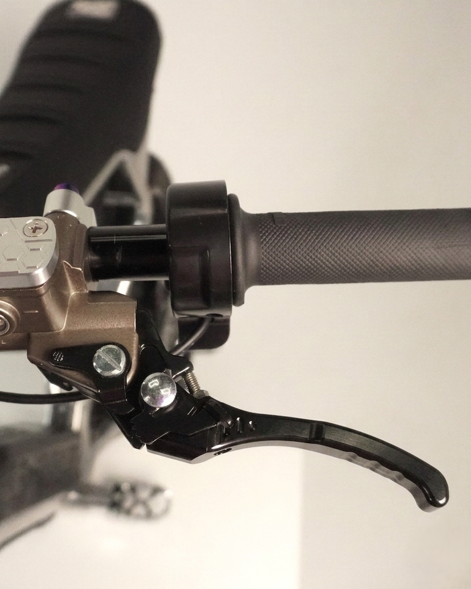 Ultra Bee Brake upgraded lever
